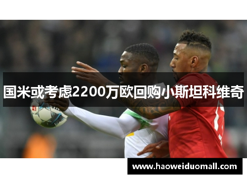 国米或考虑2200万欧回购小斯坦科维奇